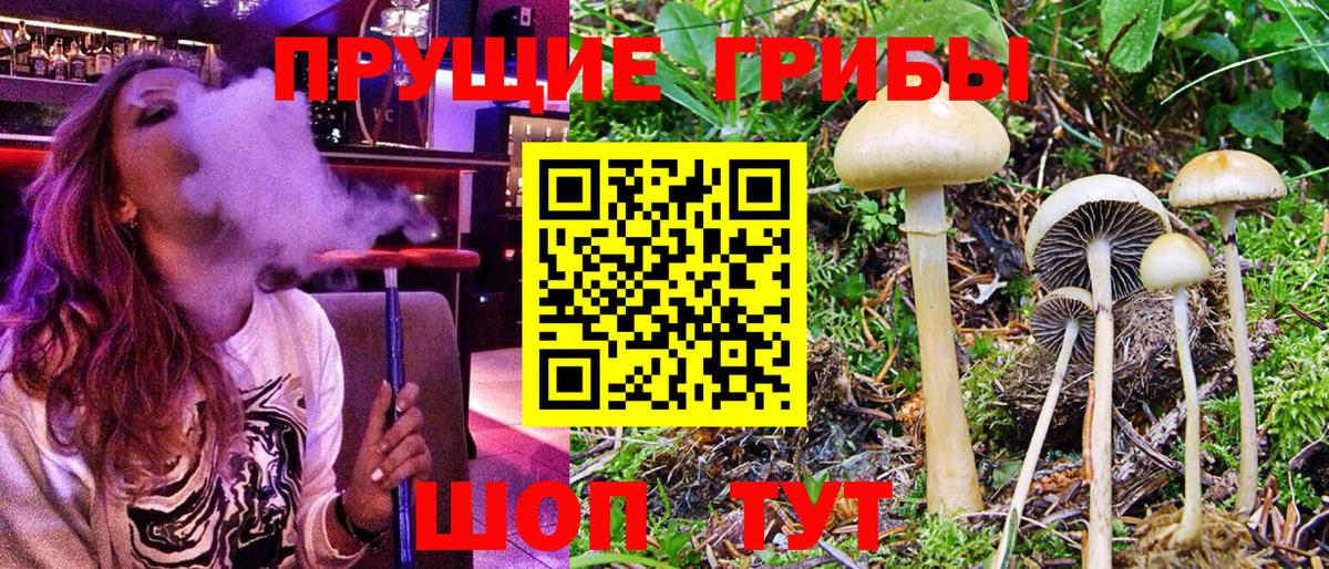Галлюциногенные грибы мухоморы Таганрог