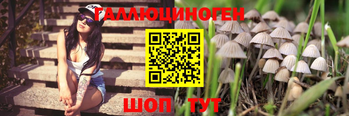 Таганрог  Марихуана  ГАШИШ  Вход с VPN  КОКАИН  MDMA  ГАШ  Мефедрон кристаллы 